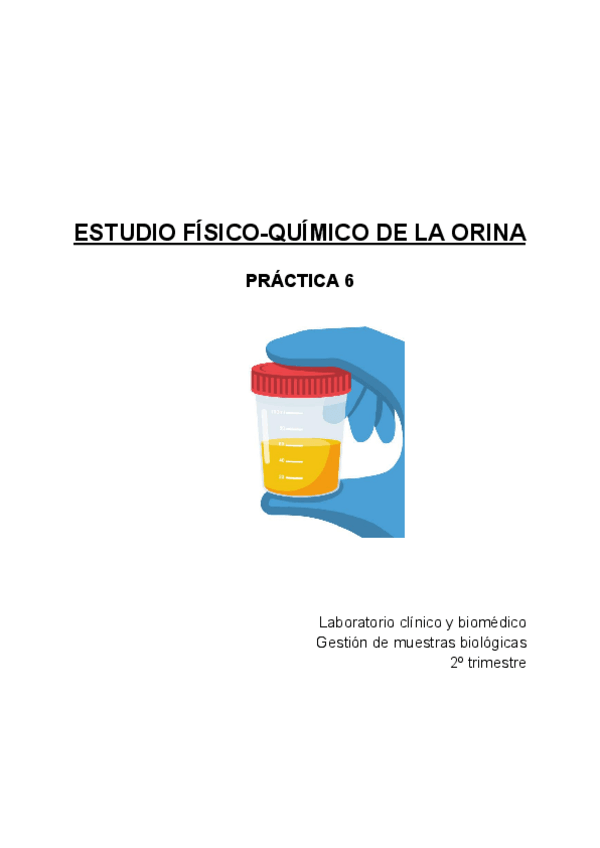 Miniatura del documento Practica-6-estudio-fisico-quimico-de-la-orina.pdf
