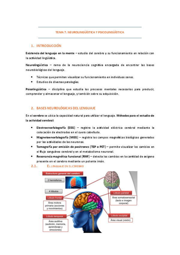 Miniatura del documento 07. NEUROLINGÜÍSTICA Y PSICOLINGÜÍSTICA.pdf