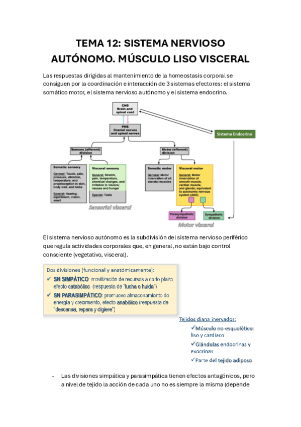 Miniatura del documento Tema-12.pdf