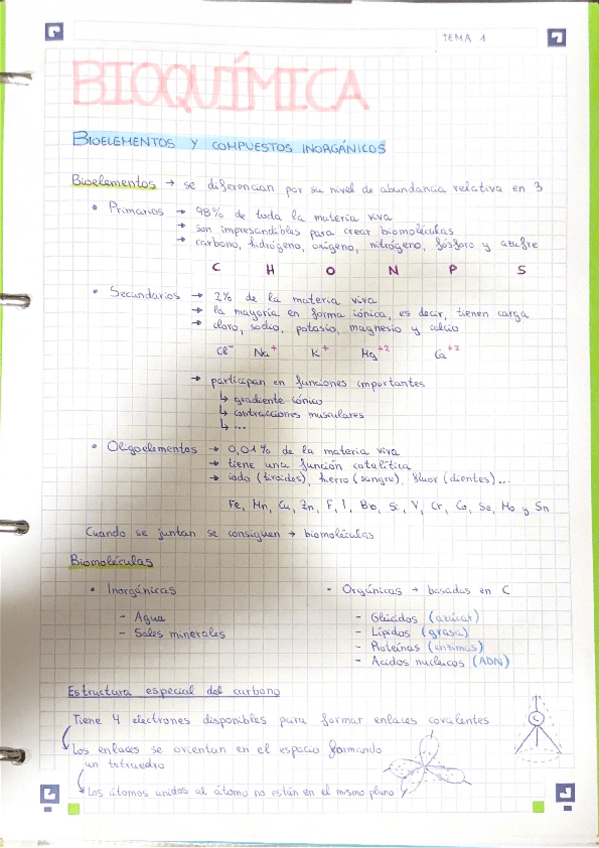 Miniatura del documento Bioelementos-y-compuestos-inorganicos.pdf