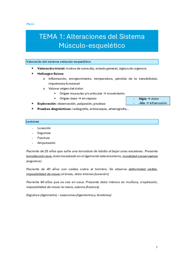 Miniatura del documento apuntes-mq-maria-musculoesqueletico-1-19.pdf.pdf