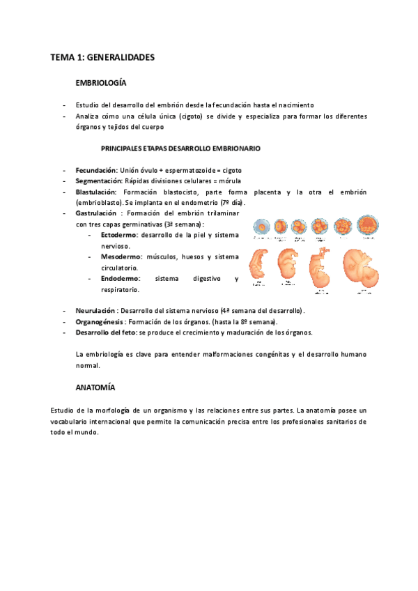 Miniatura del documento ANATOMIA.pdf