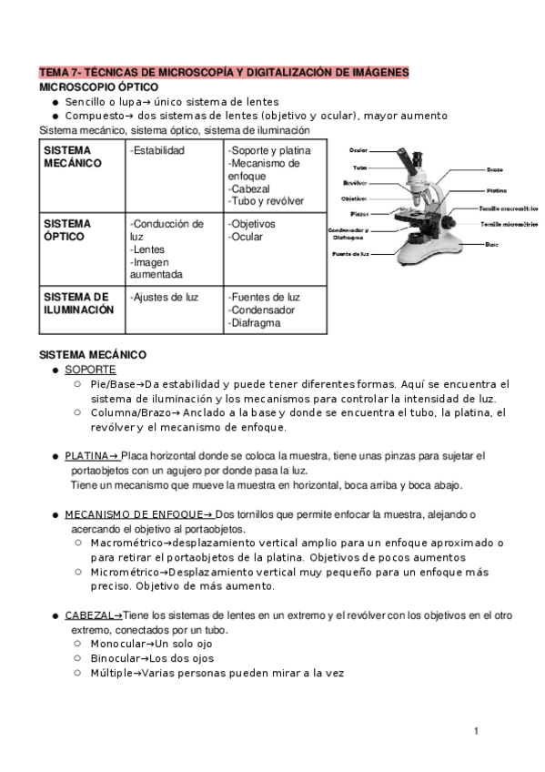 Miniatura del documento TEMA-7-TECNICAS-DE-MICROSCOPIA-Y-DIGITALIZACION-DE-IMAGENES.docx