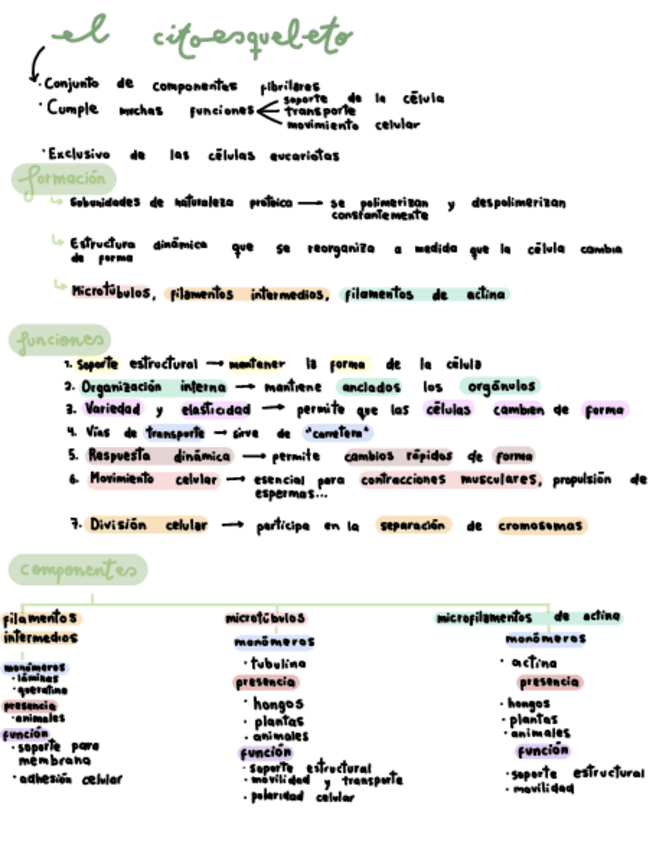Miniatura del documento Tema-3-El-Citoesqueleto.pdf