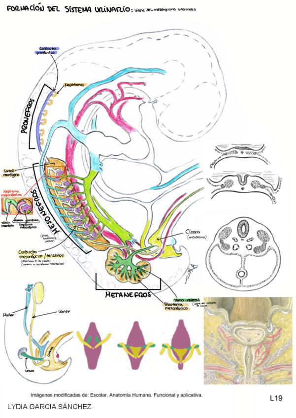 Miniatura del documento PRACTICA-3.pdf