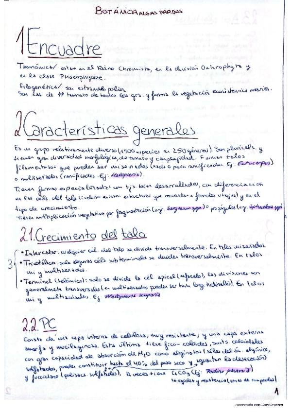 Miniatura del documento Algas-pardas.pdf