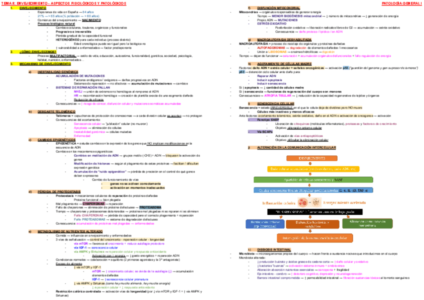 Miniatura del documento ESQUEMA-TEMA-8-PATOLOGIA-I.pdf