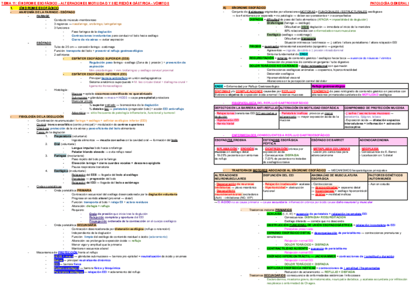 Miniatura del documento ESQUEMA-TEMA-11-PATOLOGIA-I.pdf