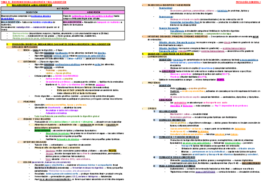 Miniatura del documento ESQUEMA-TEMA-12-PATOLOGIA-I.pdf