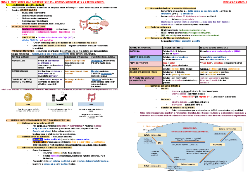 Miniatura del documento ESQUEMA-TEMA-13-PATOLOGIA-I.pdf