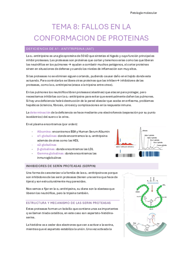 Miniatura del documento TEMA-8-FALLOS-EN-LA-CONFORMACION-DE-PROTEINAS.pdf