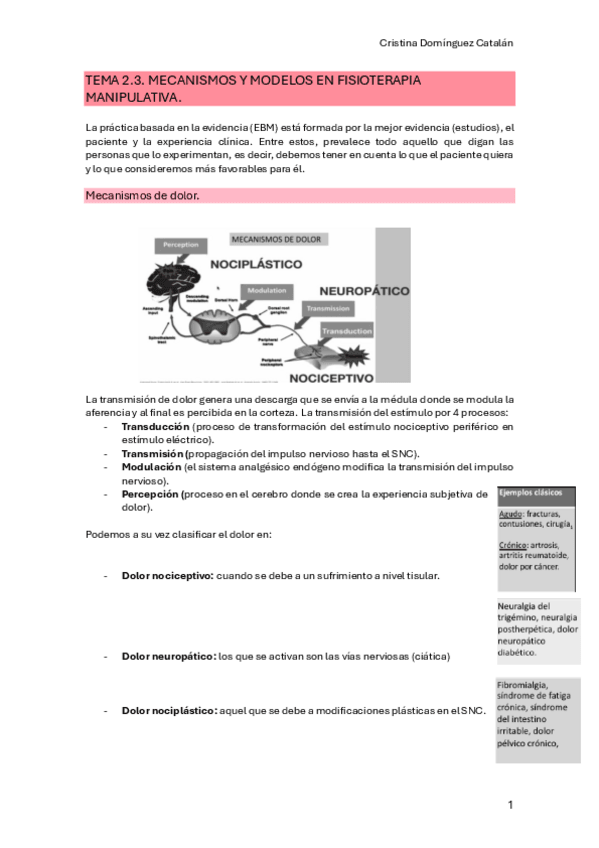 Miniatura del documento Tema-2.3.-Manipulativa.pdf