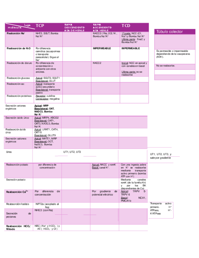 Miniatura del documento tabla-manejo-renal-moleculas.docx