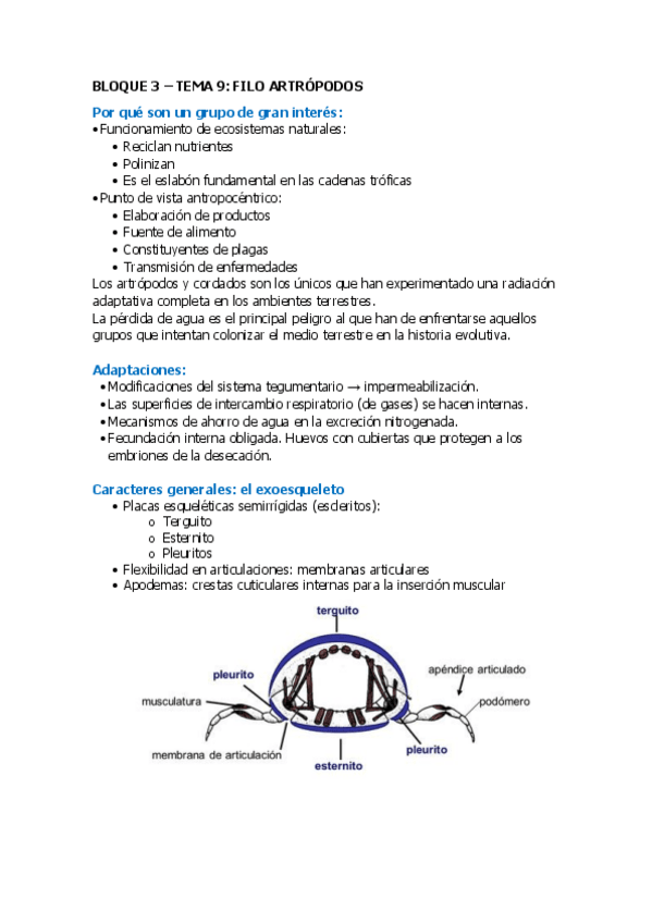 Miniatura del documento Tema-8-y-9-Filo-Artropodos.pdf