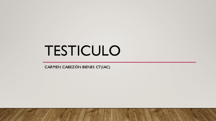 Miniatura del documento Testiculo.pdf