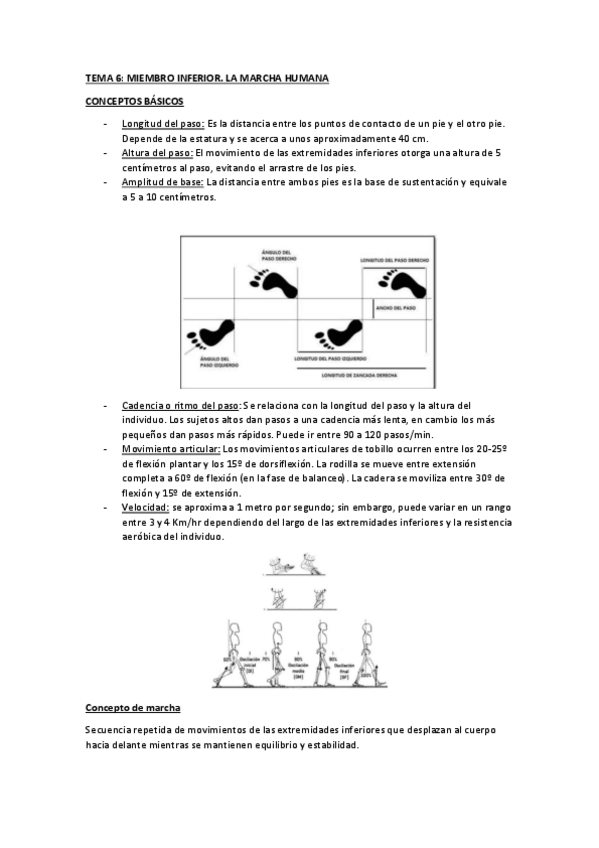 Miniatura del documento TEMA-6-PRODUCTOS.pdf