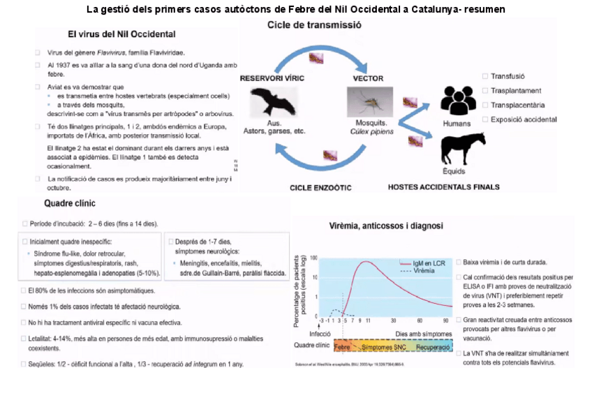 Miniatura del documento Seminario-Febre-del-Nil-Occidental.pdf