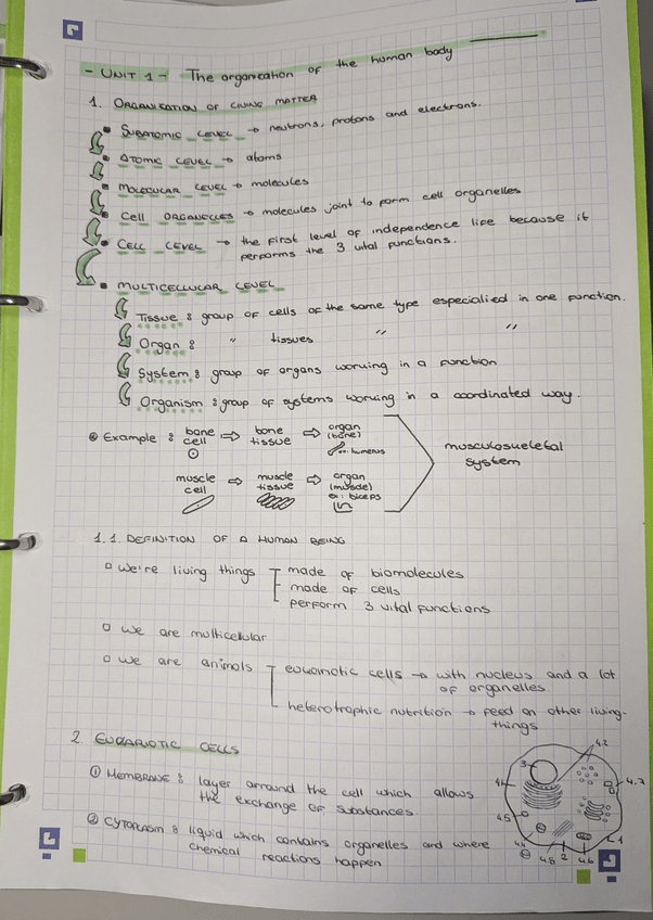 Miniatura del documento PXL20251016120258411.jpg