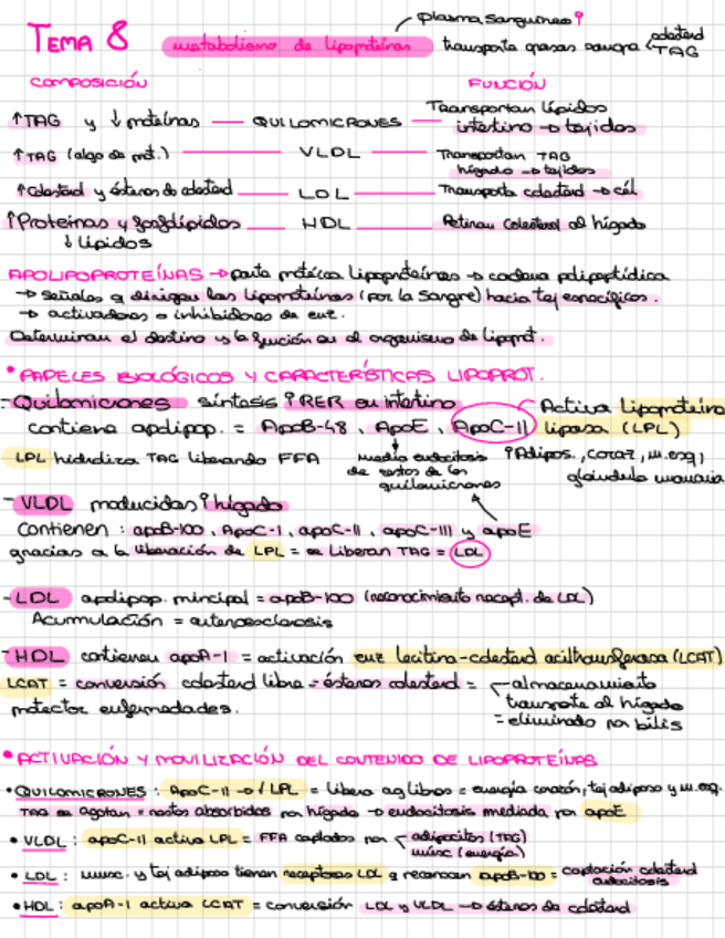 Miniatura del documento TEMA-8-BQII.pdf