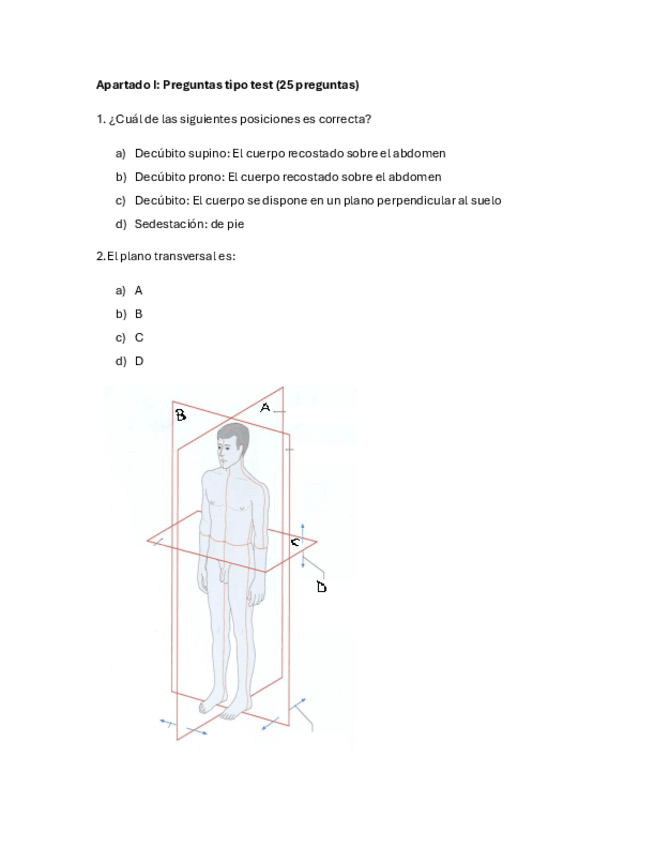 Miniatura del documento examen-anatomia-del-ap.locomotor--PARCIAL.pdf