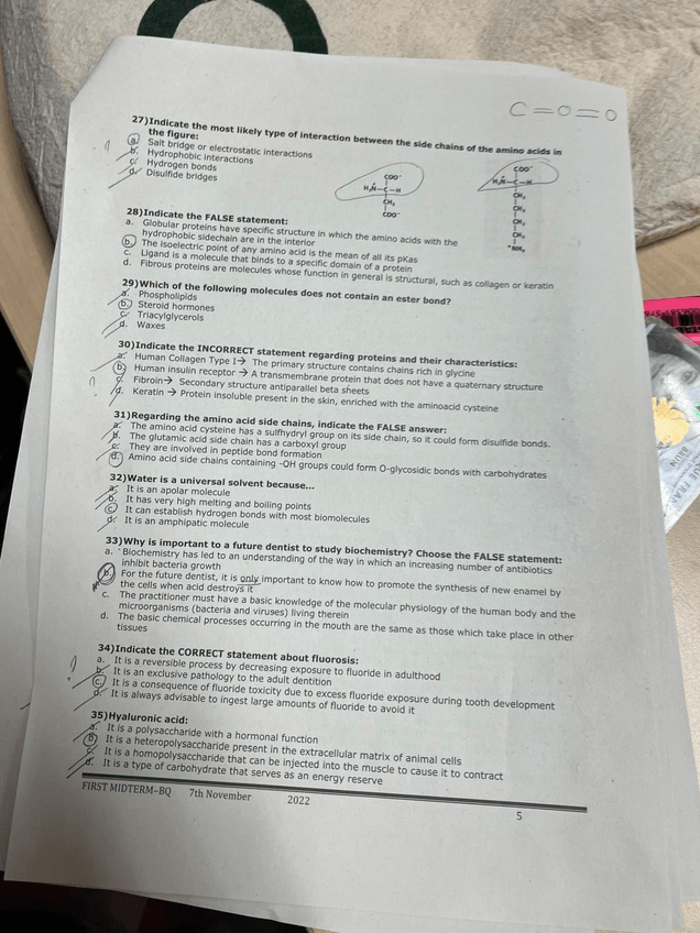 Miniatura del documento b4fad774-38a7-4ca3-964d-3771f7a49d53.JPG