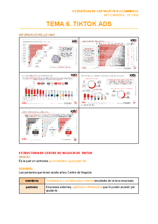 Miniatura del documento TEMA-6.-TIKTOK-ADS.pdf