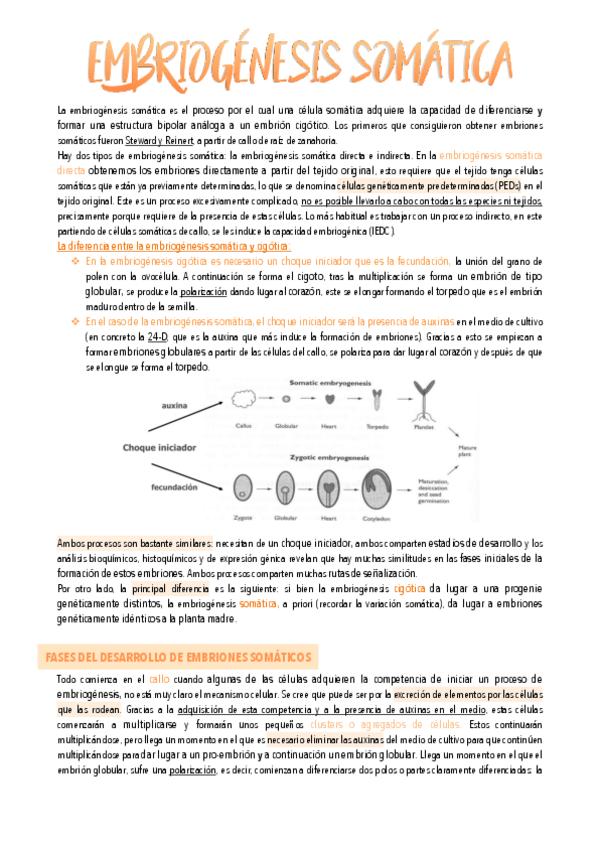 Miniatura del documento 7.-Embriogenesis-somatica.pdf