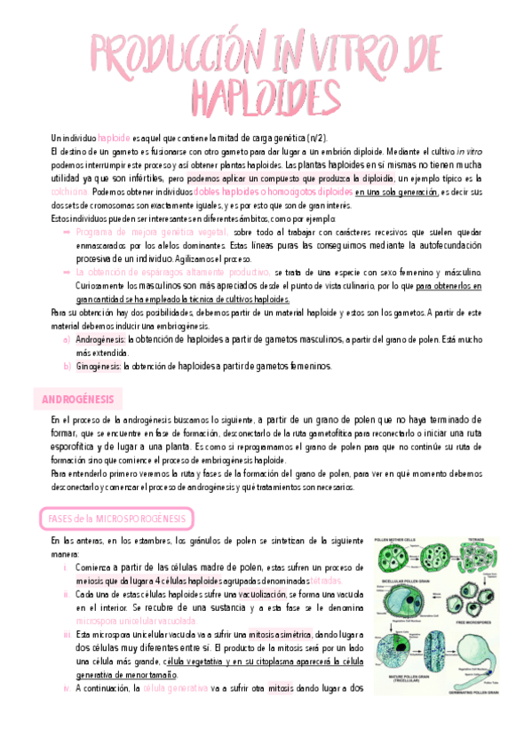 Miniatura del documento 9.-Produccion-in-vitro-de-haploides.pdf