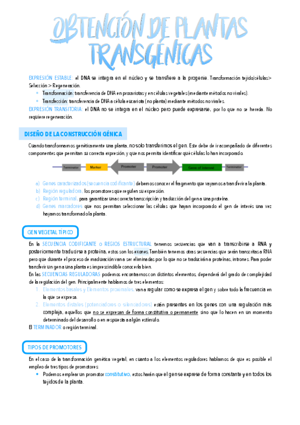 Miniatura del documento 15.-Obtencion-de-plantas-transgenicas.pdf