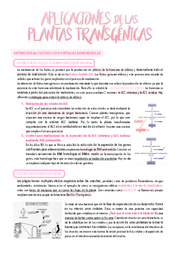 Miniatura del documento 16.-Plantas-GENETICAMENTE-MODIFICADAS-PARA-LA-OBTENCION-DE-CULTIVOS-CON-VENTAJAS-AGRONOMICAS-CUALIDADES-NUTRICIONALES-MEJORADAS-O-PRODUCTOS-DE-INTERES-BIOSANITARIO-E-INDUSTRIAL.pdf