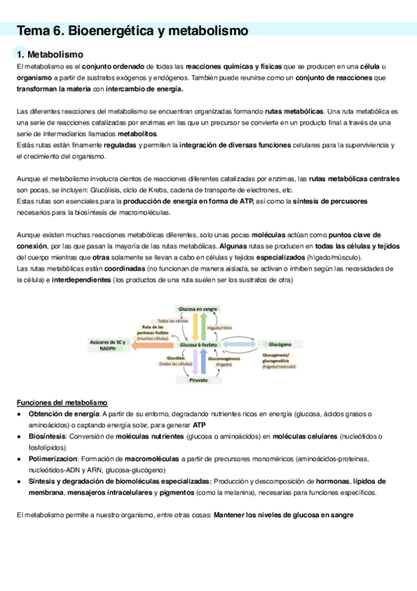 Miniatura del documento Tema-6.-Bioenergetica-Y-Metabolismo.pdf