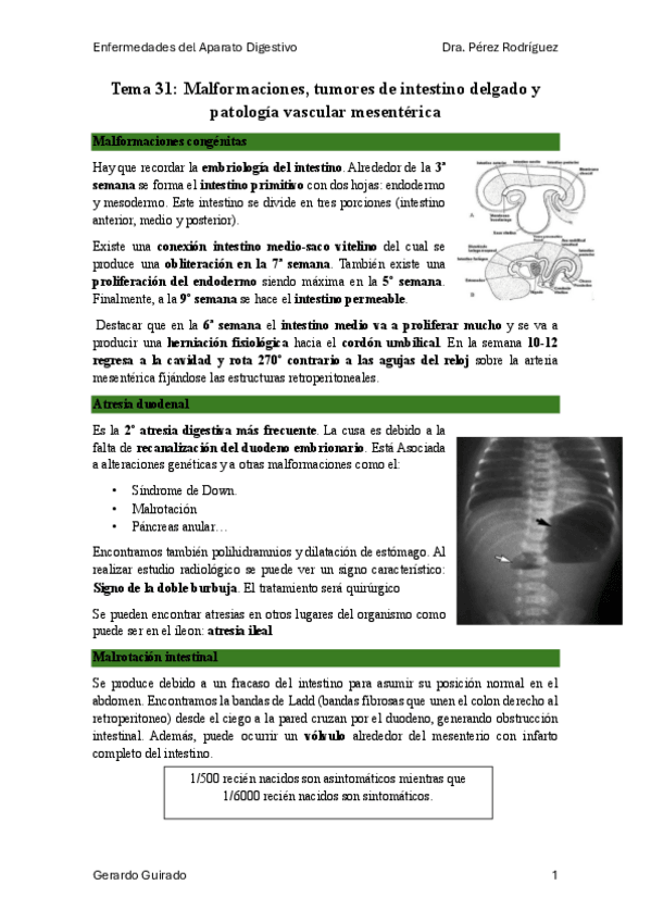 Miniatura del documento Tema-31.1.pdf