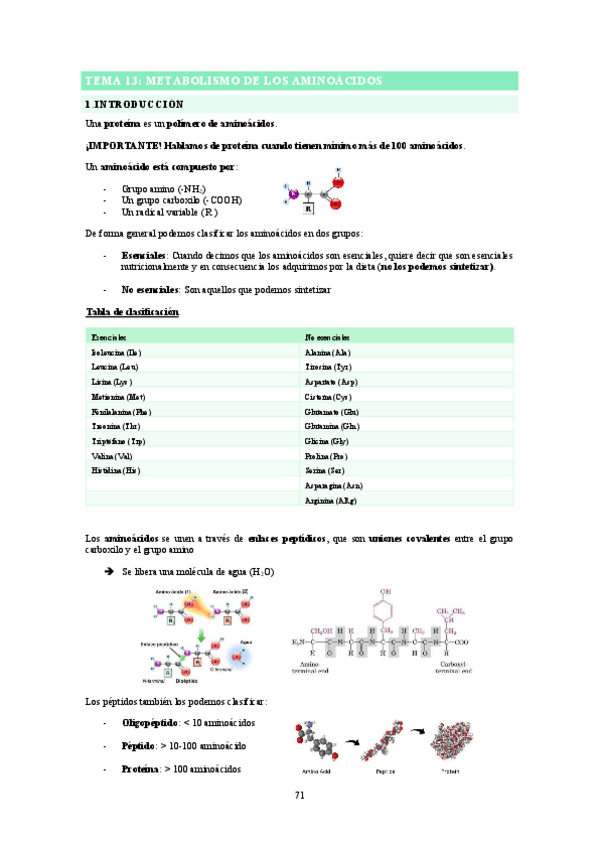 Miniatura del documento Apunts-T13-BQ.pdf
