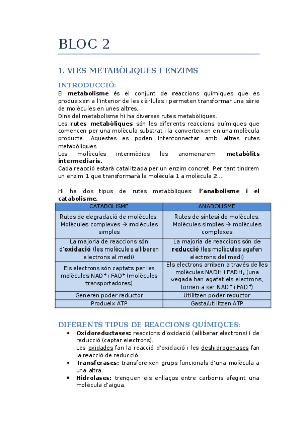 Miniatura del documento BLOC 2.docx