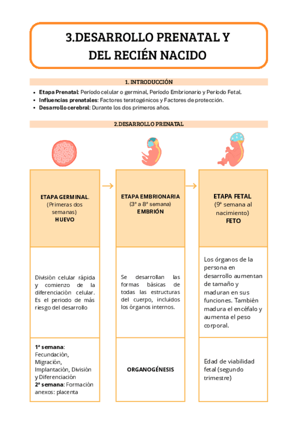 Miniatura del documento Tema-3.Desarrollo-prenatal-y-del-recien-nacido-1.pdf