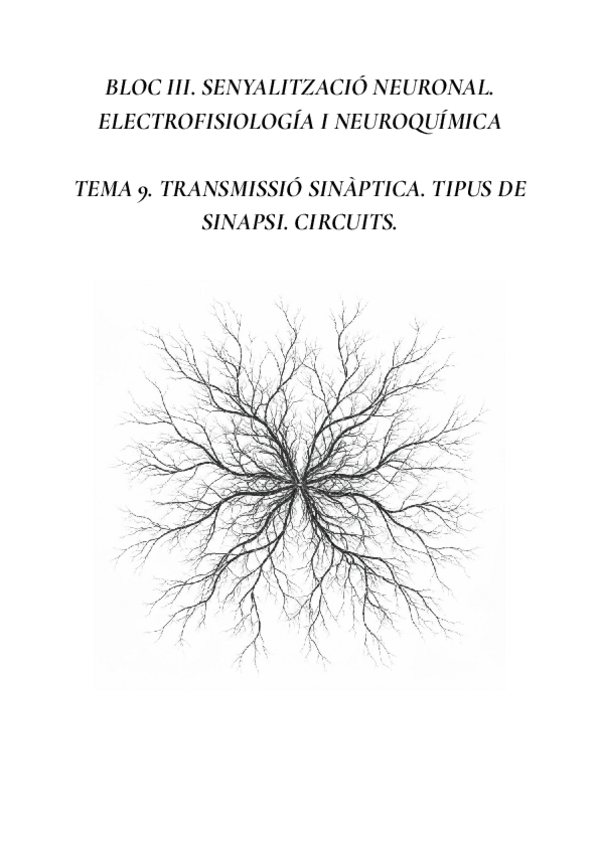Miniatura del documento TRANSMISSIO-SINAPTICA-TIPUS-DE-SINAPSI-I-CIRCUITS.pdf