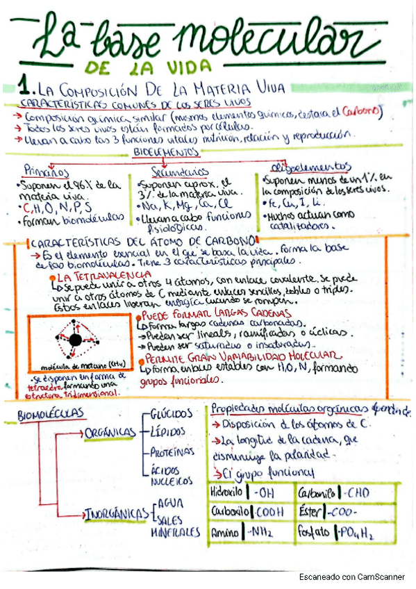 Miniatura del documento LA-BASE-MOLECULAR-DE-LA-VIDA.pdf