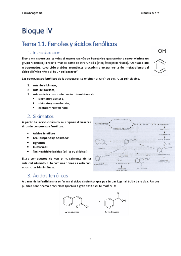 Miniatura del documento Tema-11.pdf