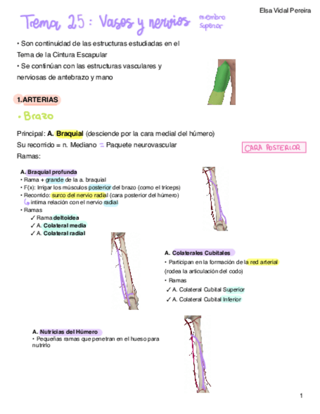 Miniatura del documento T25.pdf