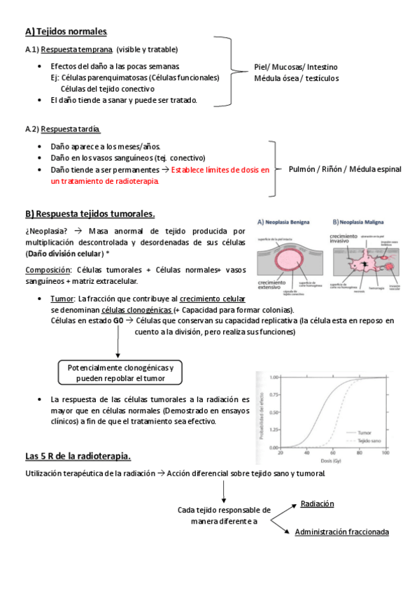 Miniatura del documento Esquema-parte-2.pdf