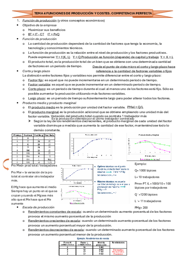 Miniatura del documento TEMA-4-FUNCIONES-DE-PRODUCCION-Y-COSTES-PRIMERA-PARTE.pdf