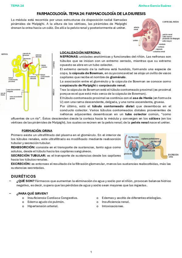 Miniatura del documento DIURÉTICOS.pdf