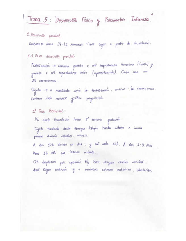 Miniatura del documento TEMA-5-DESARROLLO-I.pdf