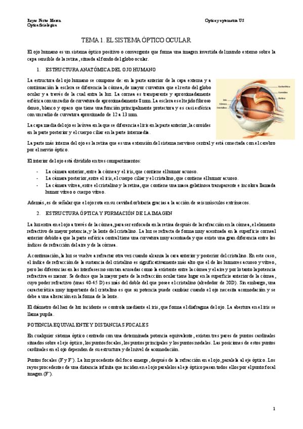 Miniatura del documento TEMA-1.-EL-SISTEMA-OPTICO-OCULAR.pdf