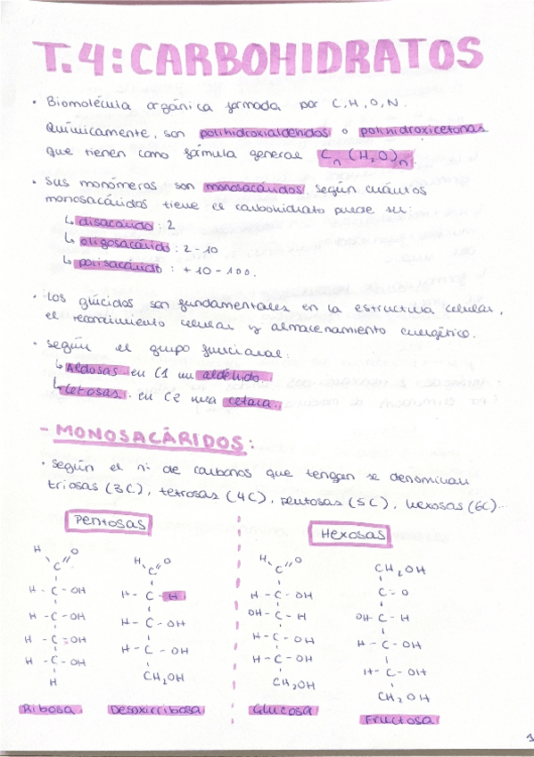 Miniatura del documento TEMA-4-CARBOHIDRATOS.pdf