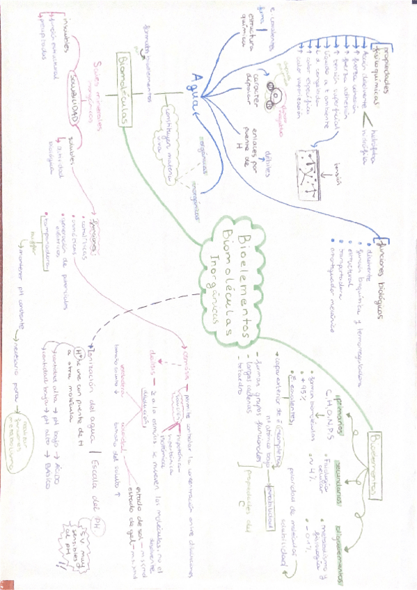 Miniatura del documento Tema-1-BIOELEMENTOS-Y-BIOMOLECULAS-INORGANICAS.pdf