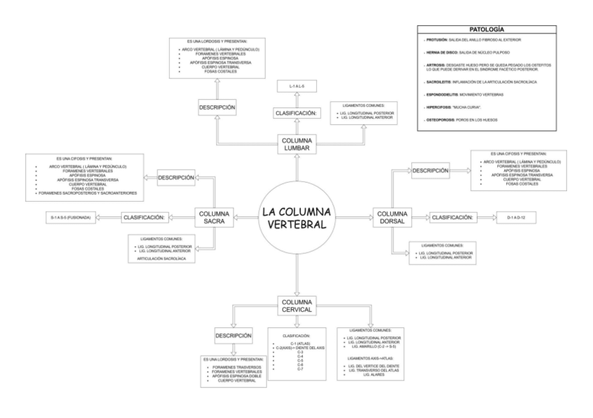 Miniatura del documento ANATO-1o-Trimestre.pdf