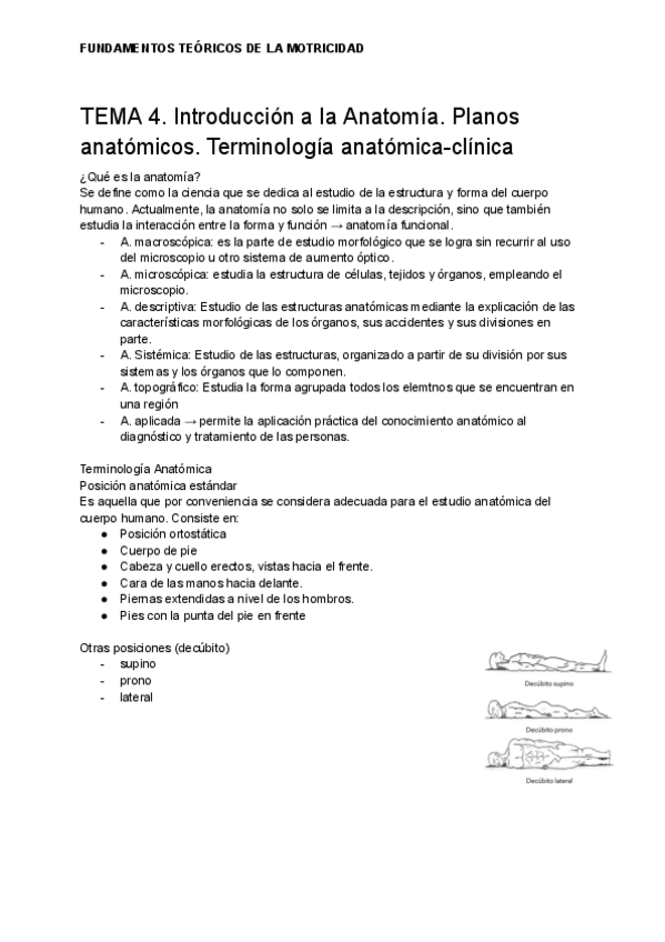 Miniatura del documento Anatomia.pdf