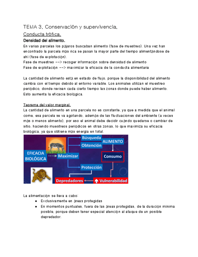 Miniatura del documento Evolucion-Humana-y-Etologia-TEMA-3.pdf