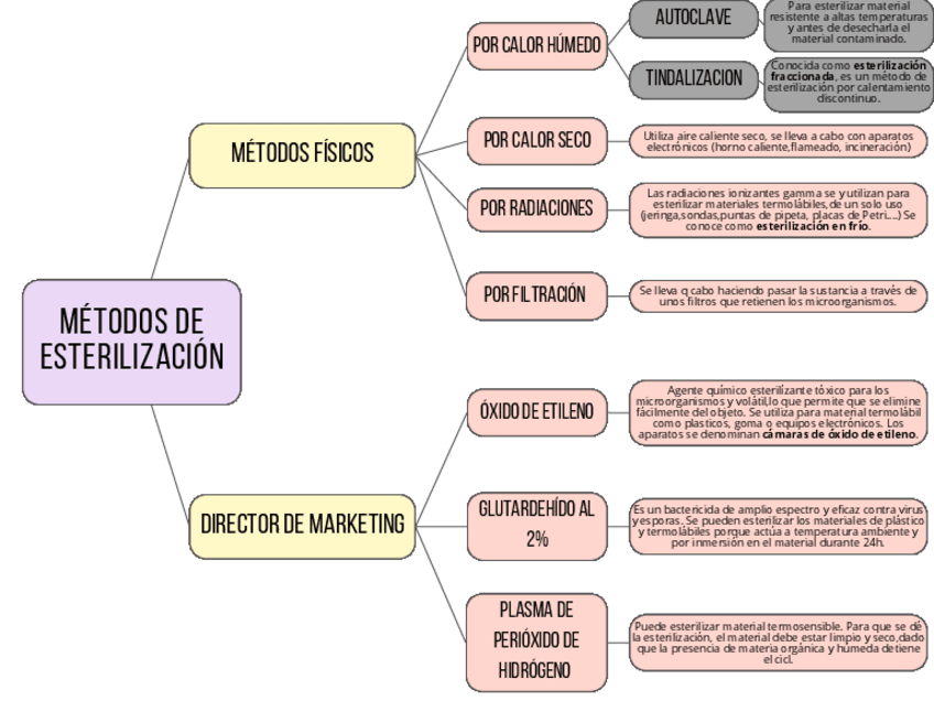 Miniatura del documento Mapa-mental-Metodos-de-esterilizacion.pdf